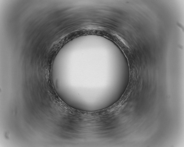 X0000096400821200801241002