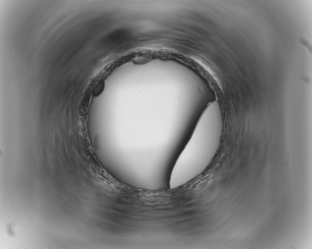 X0000096400823200801241002