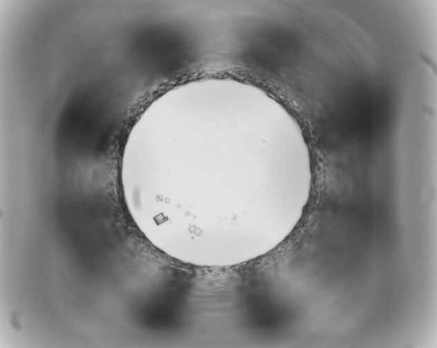 X0000096400824200801241002