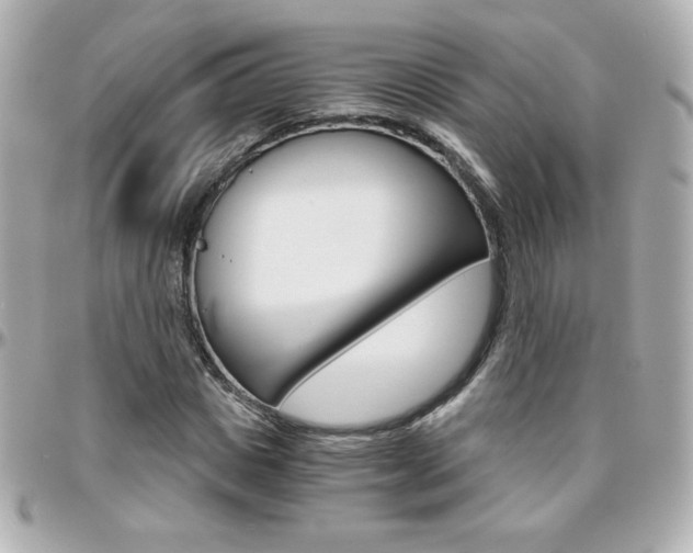 X0000096400825200801241002