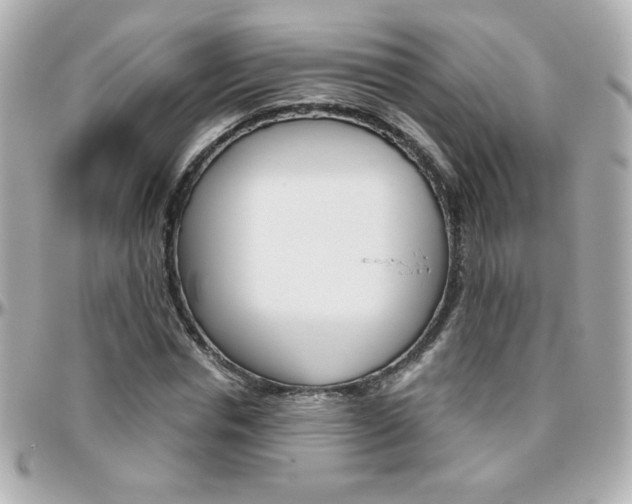 X0000096400826200801241002