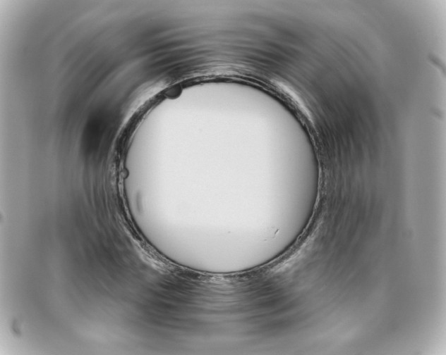 X0000096400827200801241002