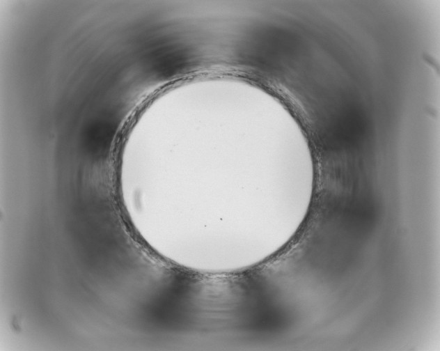 X0000096400828200801241002