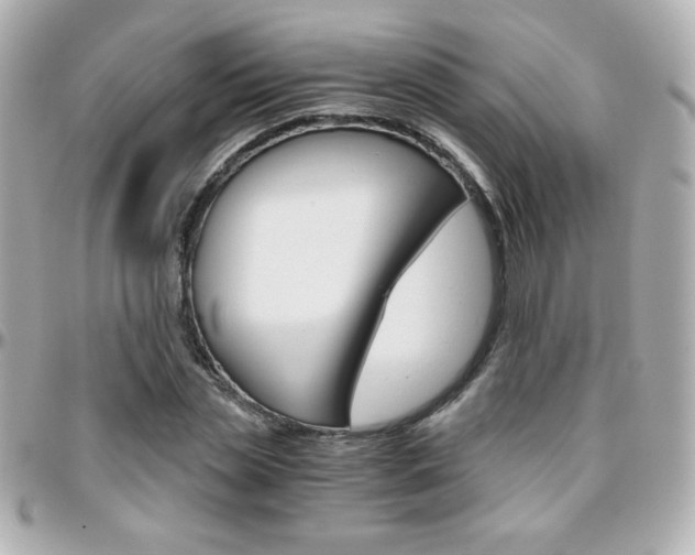 X0000096400829200801241002