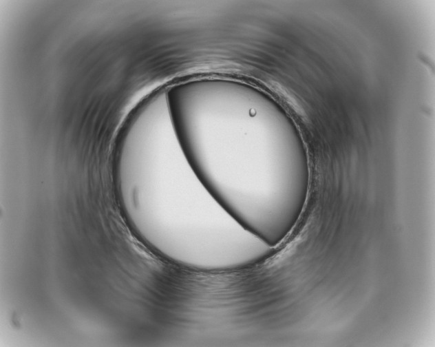 X0000096400830200801241002