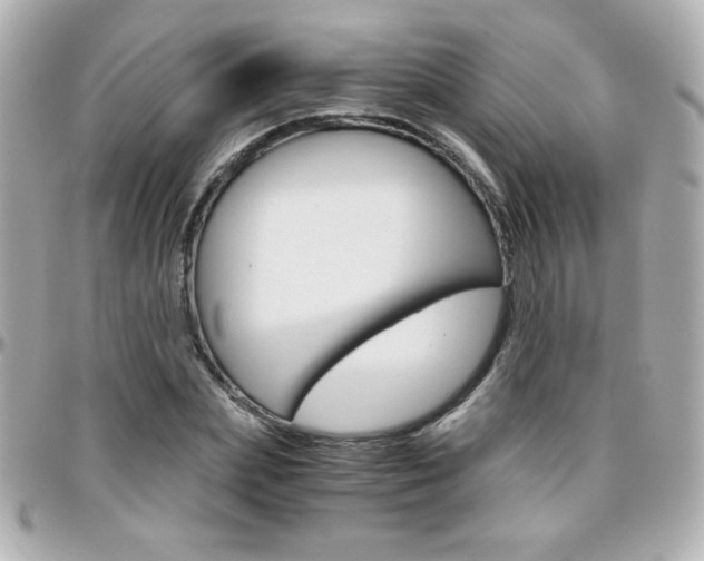 X0000096400831200801241002