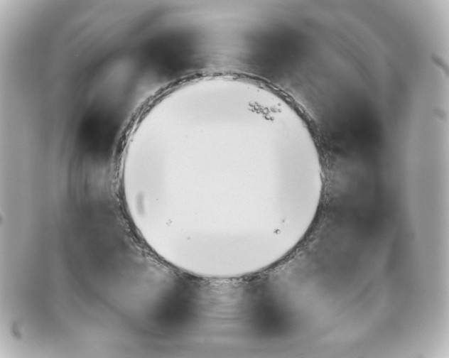 X0000096400832200801241002