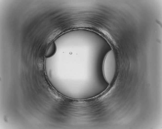 X0000096400833200801241002