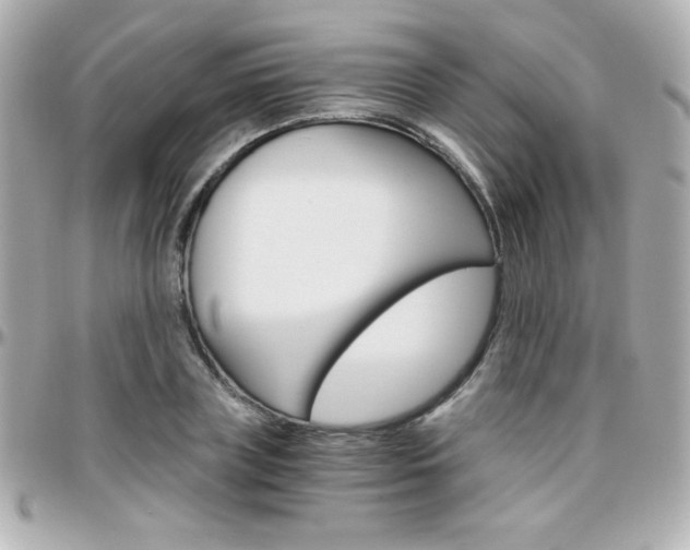 X0000096400835200801241002
