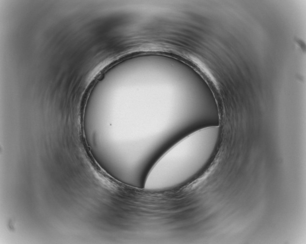 X0000096400837200801241002