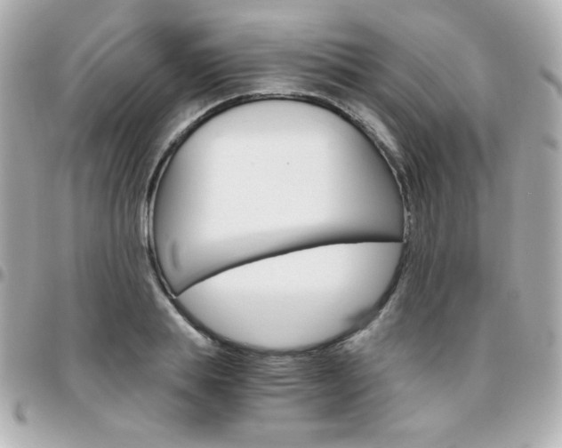 X0000096400839200801241002