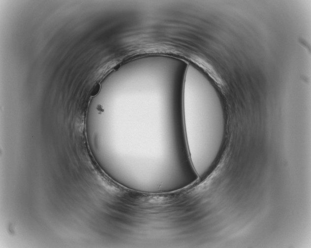X0000096400841200801241002