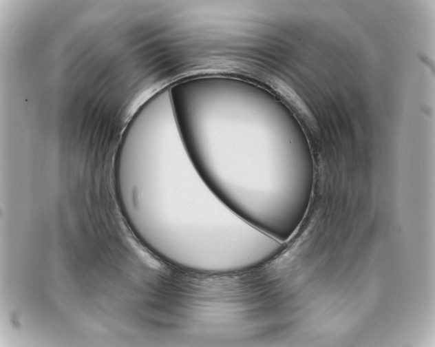 X0000096400842200801241002