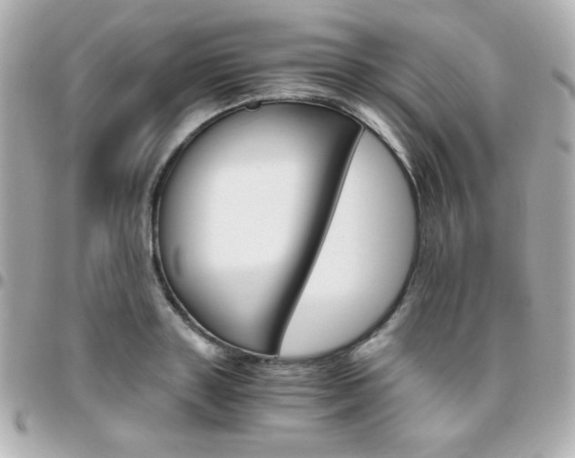 X0000096400843200801241002