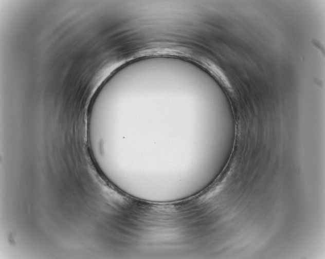 X0000096400844200801241002