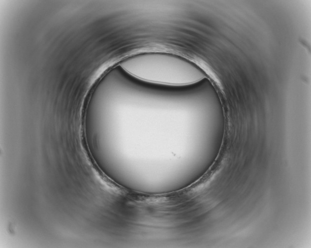 X0000096400845200801241002