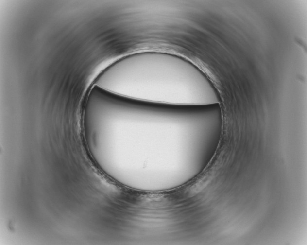 X0000096400846200801241002