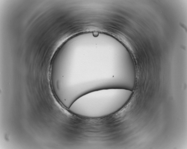 X0000096400847200801241002