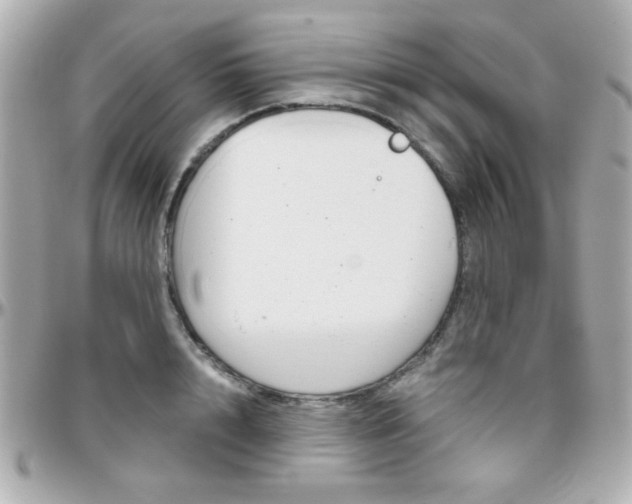 X0000096400848200801241002