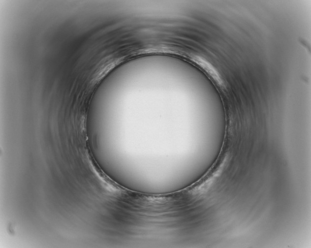 X0000096400849200801241002