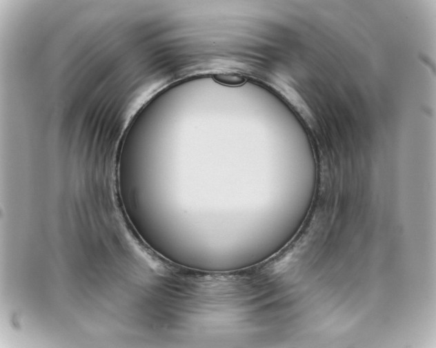 X0000096400850200801241002