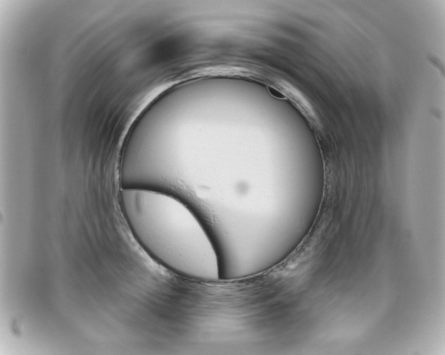 X0000096400852200801241002