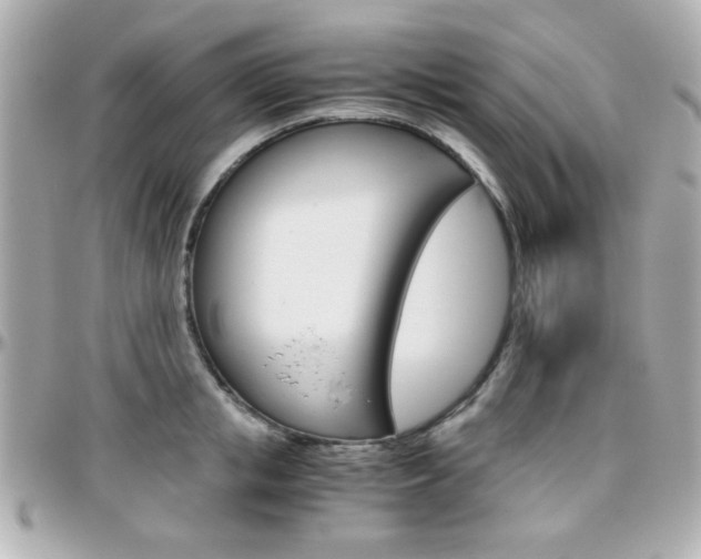 X0000096400853200801241002