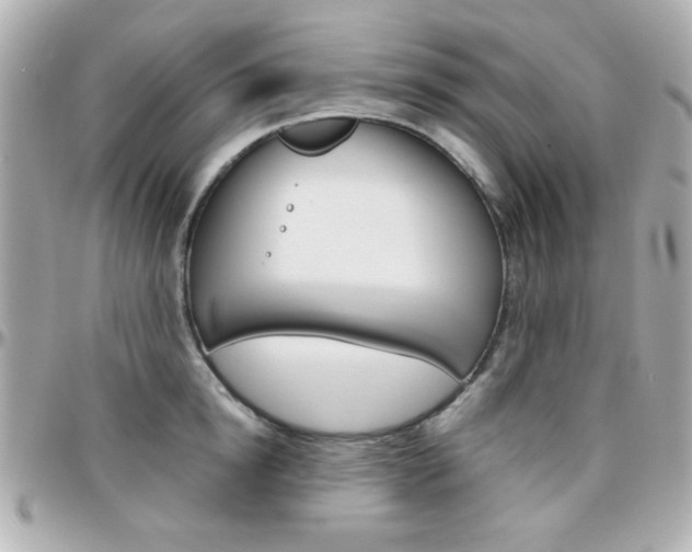 X0000096400854200801241002