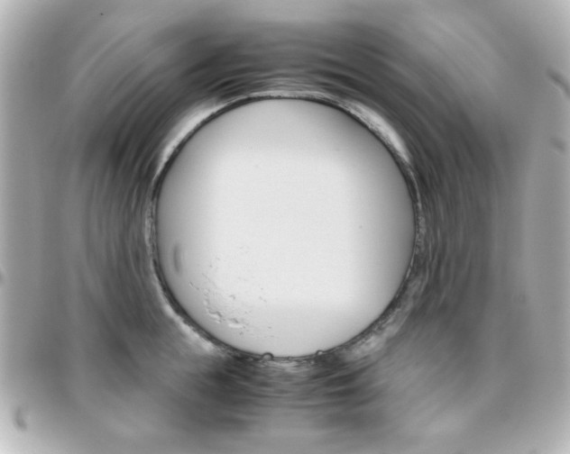 X0000096400855200801241002