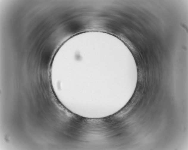 X0000096400856200801241002