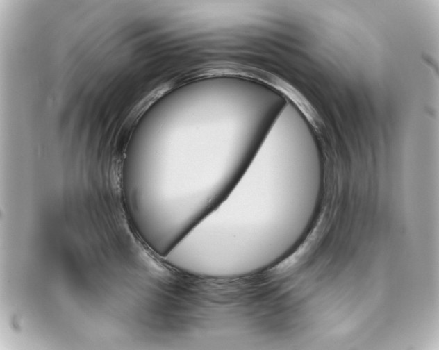 X0000096400857200801241002
