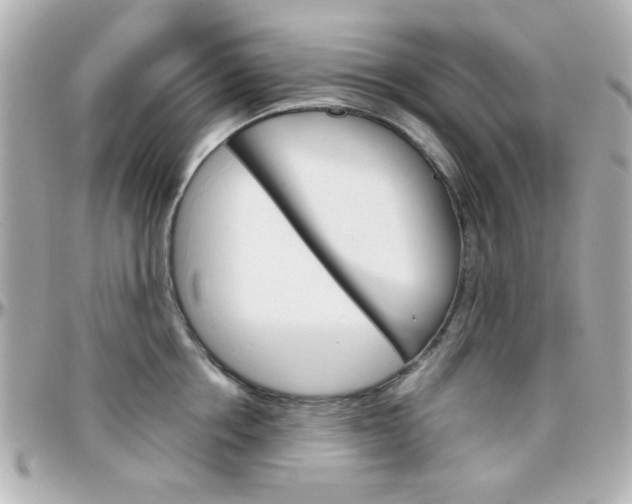 X0000096400858200801241002