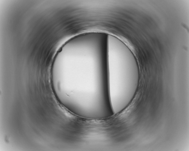 X0000096400862200801241002