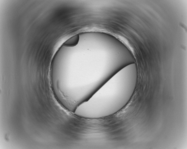 X0000096400863200801241002