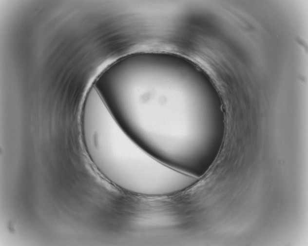 X0000096400864200801241002