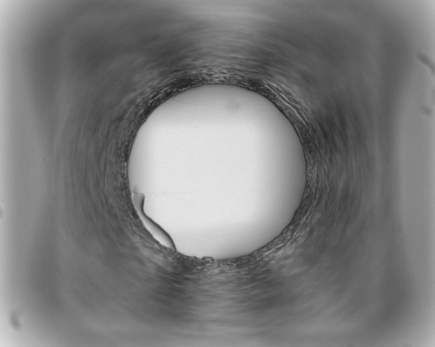 X0000096400865200801241001