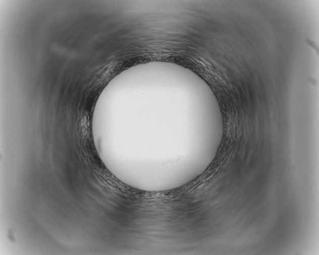 X0000096400866200801241001