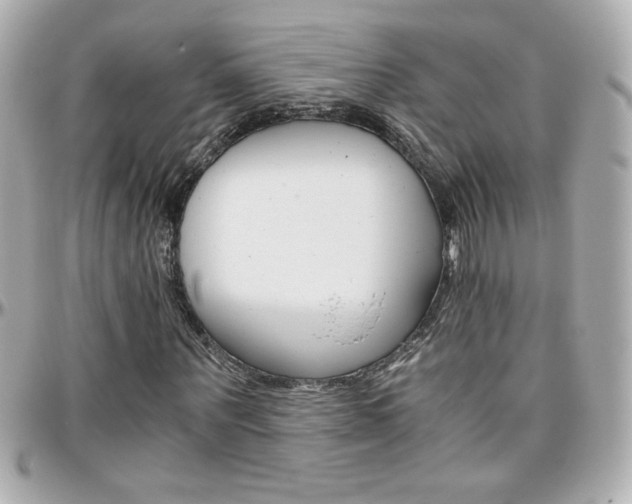 X0000096400867200801241001