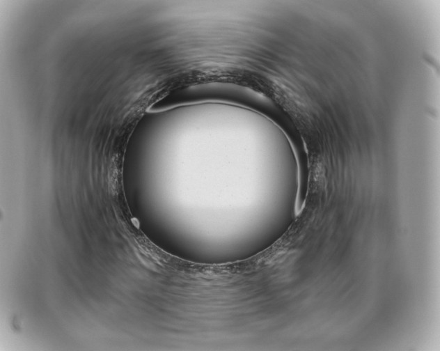 X0000096400868200801241001