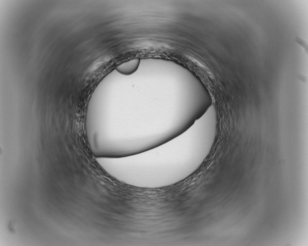 X0000096400869200801241001