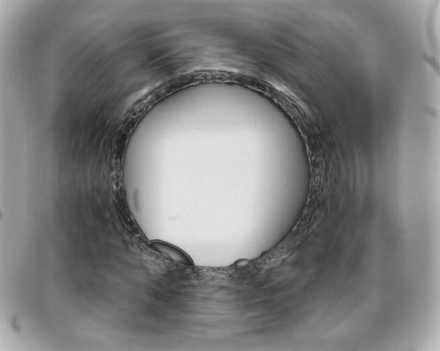 X0000096400870200801241001