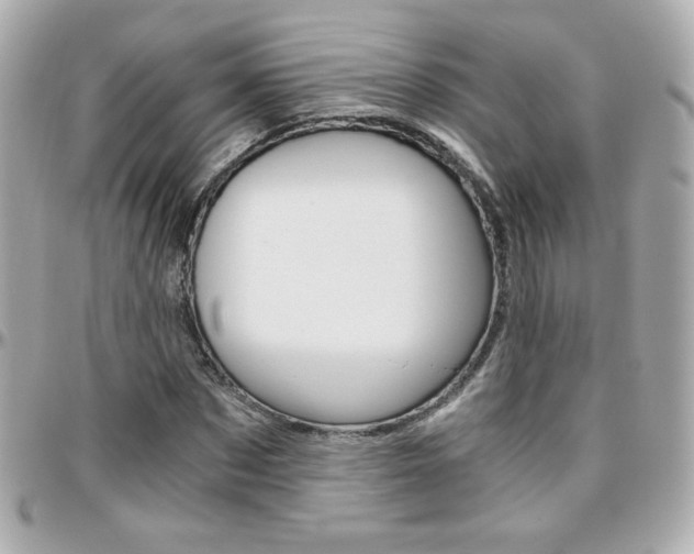X0000096400873200801241001