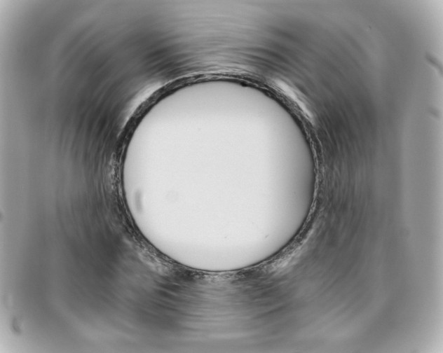 X0000096400875200801241001