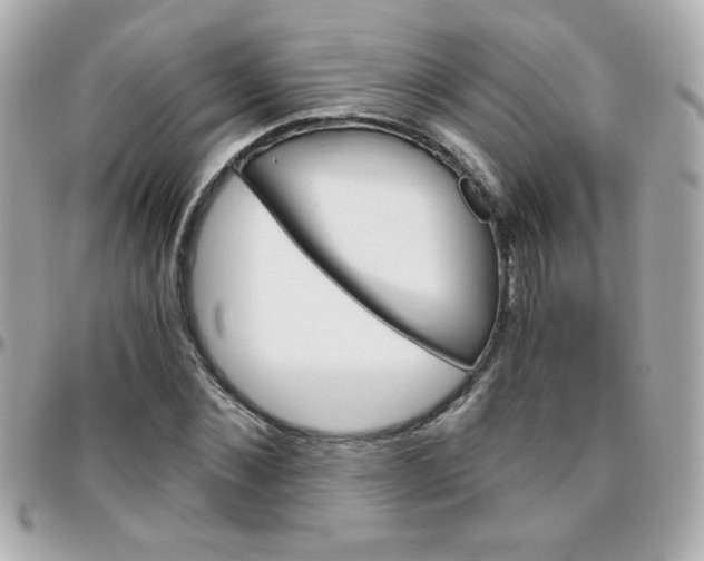 X0000096400876200801241001