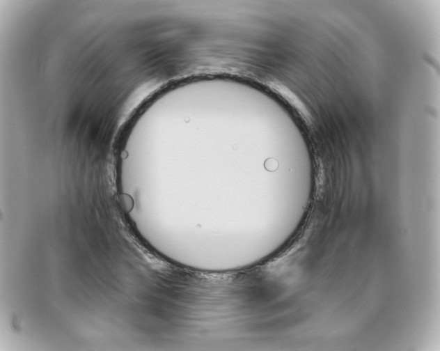 X0000096400878200801241001