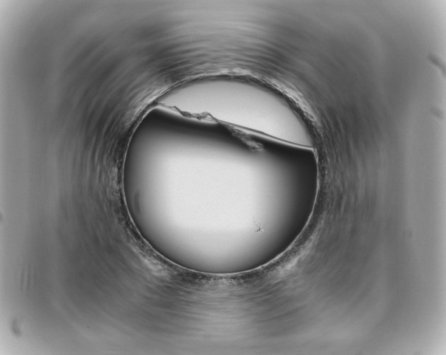 X0000096400881200801241001