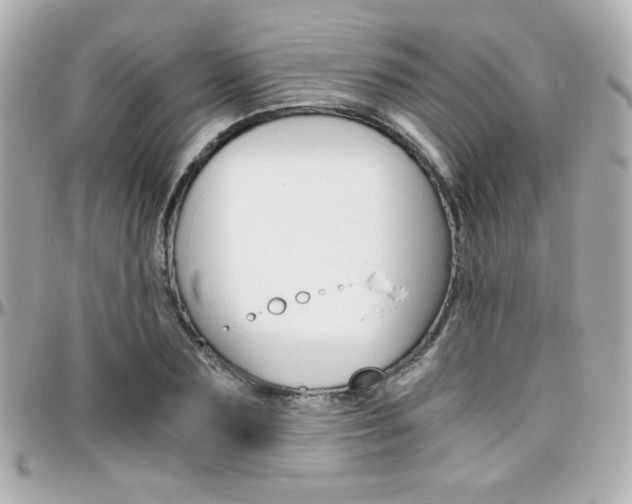 X0000096400883200801241001