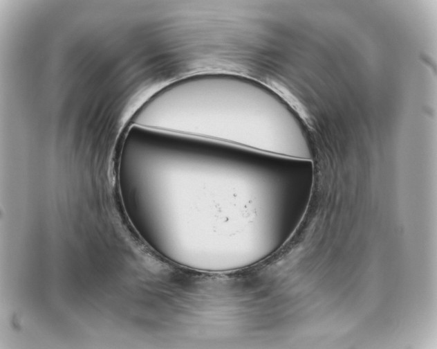 X0000096400885200801241001