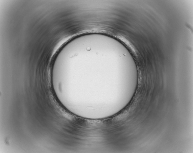 X0000096400886200801241001