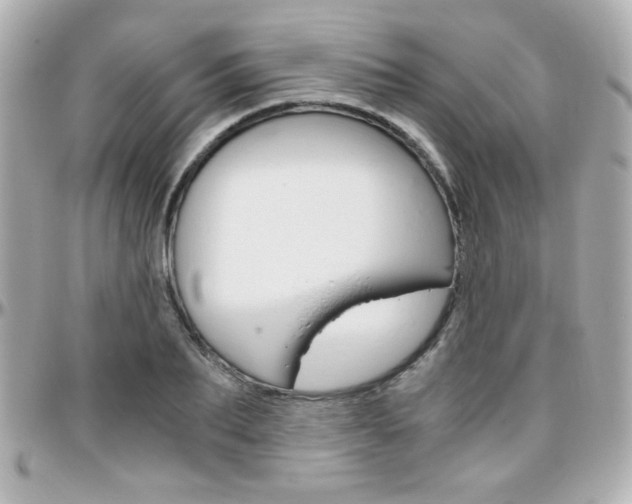 X0000096400887200801241001